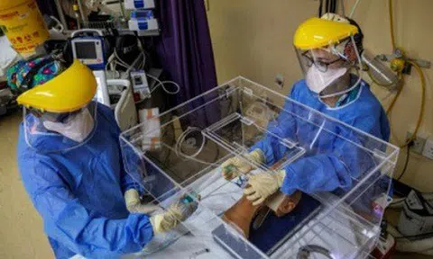 Thiết bị cách ly giúp ngăn lây nhiễm khi điều trị COVID-19