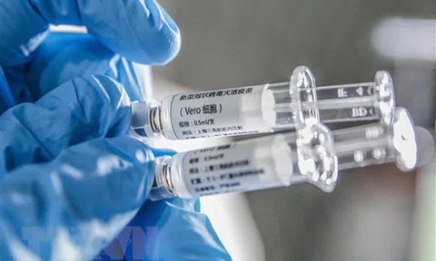 Con người sẽ phải chung sống với SARS-CoV-2?