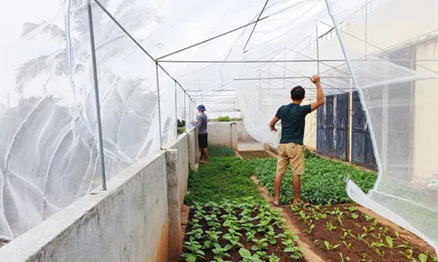 Nông nghiệp công nghệ cao trên đảo Trường Sa