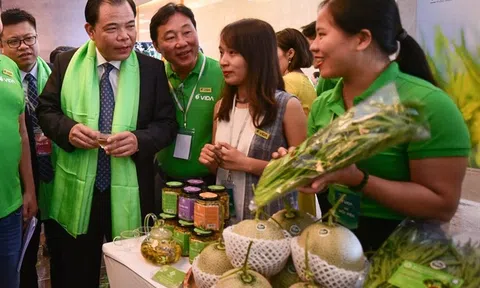 Tạo dựng các doanh nghiệp dân tộc, có khát vọng và năng lực quản trị tốt