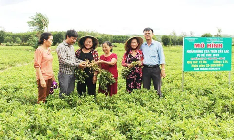 Sản xuất cây trồng cạn áp dụng tưới tiết kiệm: Tối ưu trên cả ba mặt
