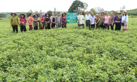 Tham quan chéo các mô hình nông nghiệp thông minh
