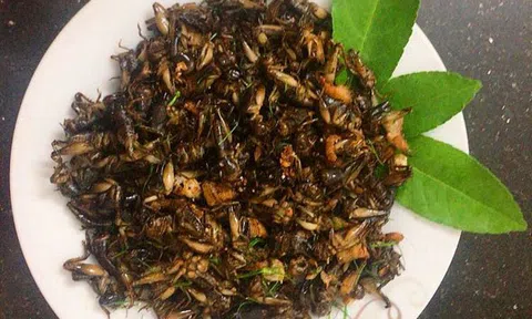 "Đặc sản" mùa tưới cà phê