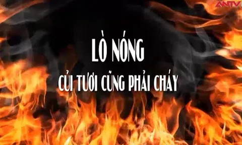 Mặt trời nào đang toả sáng ở Việt Nam?