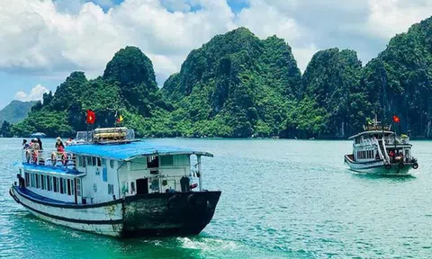 Quảng Ninh: Mở lại hoạt động tham quan vịnh Hạ Long từ ngày 1/5