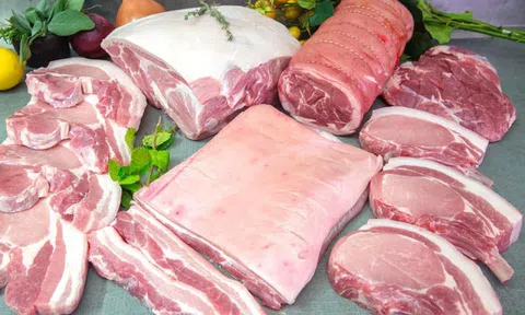 Thực phẩm sạch Tân Công Minh: Món ngon, bạn đã biết?