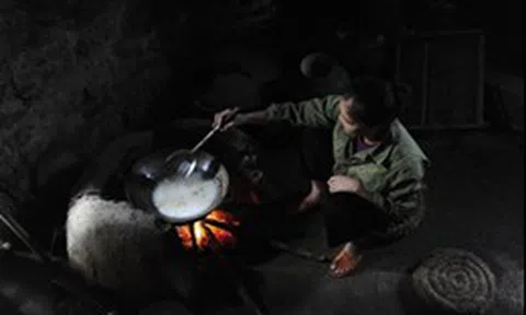 Cháo mạ