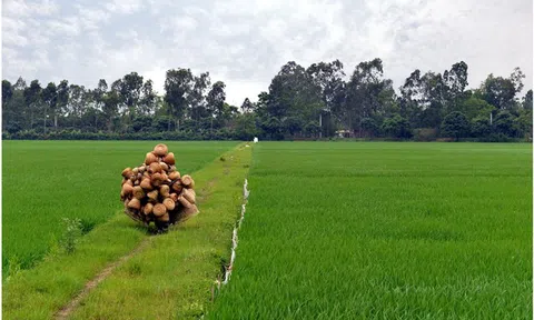 Thủ Sỹ - Nơi những chiếc đó ra đời