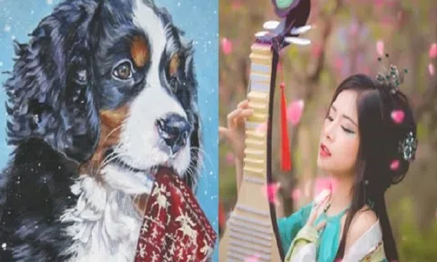 Nắm được vận may, con giáp đi đến đâu thần Tài theo đến đấy