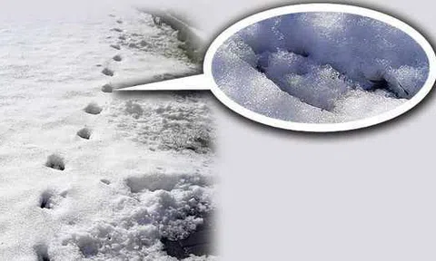 Bí ẩn “dấu chân của quỷ” reo rắc nỗi ám ảnh ở Anh