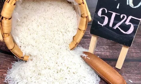 Gạo ST25 ngon nhất thế giới chắp cánh cho thương hiệu gạo Việt