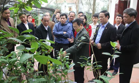 Vườn quốc gia Tam Đảo bảo tồn đa dạng sinh học