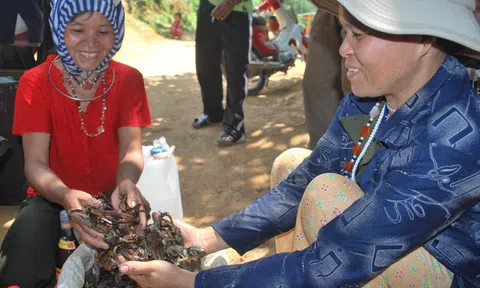 Thơm ngon với khô choạt choạt nướng