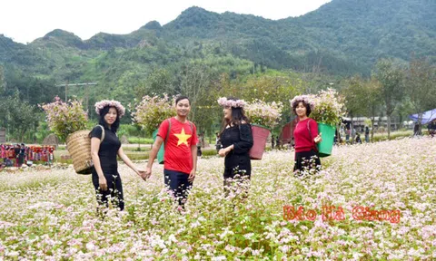Hà Giang: Mê đắm mùa "đá nở hoa"