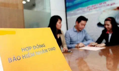 SSI Research: Lợi nhuận của các doanh nghiệp bảo hiểm nhân thọ đang chịu áp lực