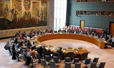 Ấn Độ, Mexico, Na Uy, Ireland và Kenya chính thức tham gia Hội đồng Bảo an LHQ