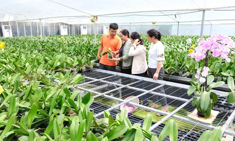 Xây dựng nông thôn mới Hà Nội giai đoạn 2021 - 2025: Dự kiến bố trí nguồn lực đầu tư 89.000 tỷ đồng