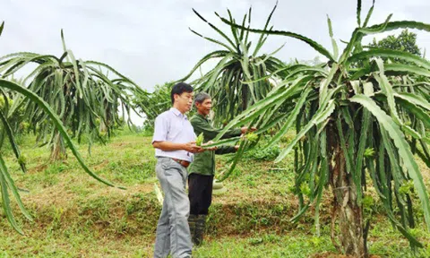97% lao động tại các trang trại chưa qua đào tạo nghề