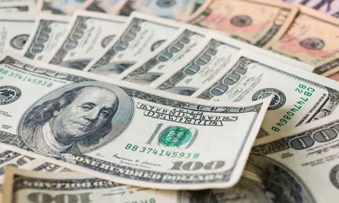 Tỷ giá USD hôm nay 13/1: 'Giậm chân tại chỗ' sau phiên tăng mạnh