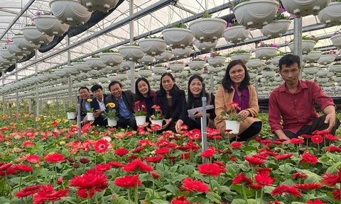 Thúc đẩy kết nối tiêu thụ nông sản