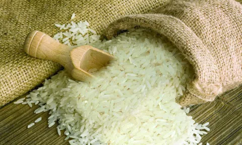 Xuất khẩu ngày 23-25/1: Gạo Việt thêm cơ hội, xuất khẩu điện thoại và linh kiện lần đầu tăng trưởng âm