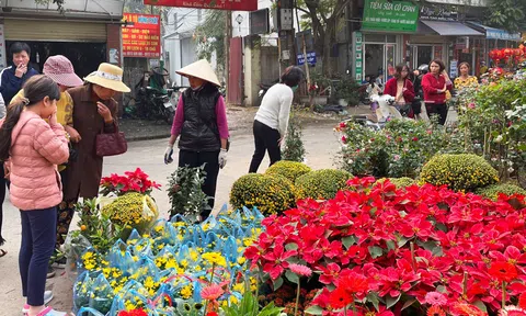Nhộn nhịp chợ hoa Vạn Phúc (Hà Đông)