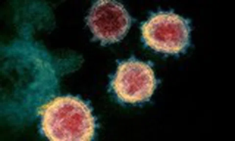 Biến thể SARS-CoV-2 ở Nam Phi làm giảm hiệu quả vaccine