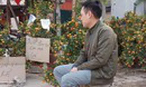 Bán quất cảnh ế ẩm, chàng trai được người dân đến ủng hộ