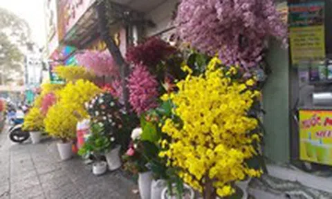 Chơi hoa giả ngày Tết nên bày trí như thế nào cho hợp phong thủy?