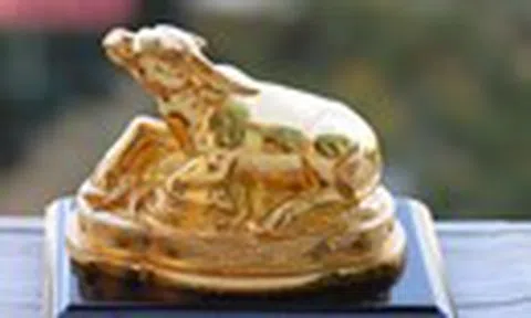 3 vật phẩm xả xui cầu may, gia chủ nên đặt trong nhà vào dịp Tết