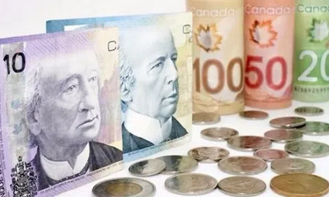 Đồng nội tệ của Canada sẽ tiếp tục lên giá so với USD