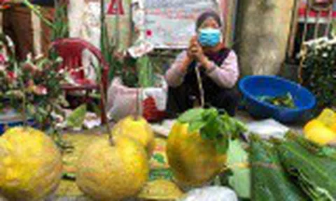 Rộn ràng chợ quê ngày Tết