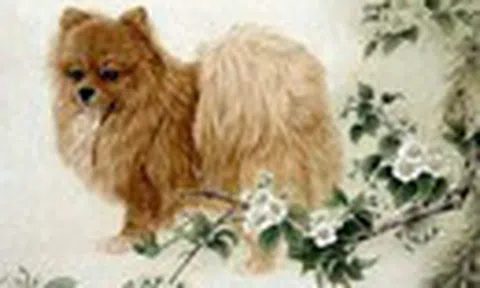 Dự đoán ngày 18/02/2021 cho 12 con giáp: Ngọ đào hoa xấu, Tý có quý nhân giúp đỡ