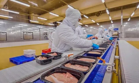 Giá heo hơi hôm nay 17/2: Đồng loạt tăng, nhận định giá heo hơi năm 2021