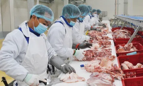 Giá heo hơi hôm nay 27/2: Không ghi nhận nhiều biến động, nhà đầu tư Trung Quốc 'mê' cổ phiếu công ty thịt heo