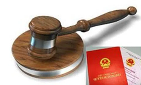 Những thủ tục cấp sổ đỏ cho đất trúng đấu giá bạn nên biết