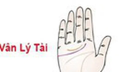 Bàn tay có 6 nét này “phúc khí” đầy nhà