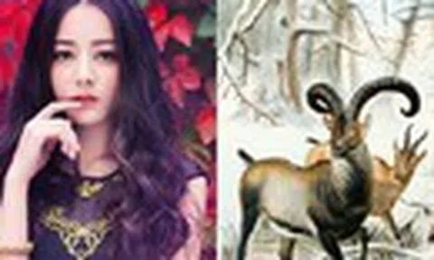 Dự đoán tuần mới: 3 con giáp vượt qua khó khăn chuyển mình rực rỡ