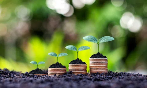 THẾ NÀO LÀ KÊNH ĐẦU TƯ HẤP DẪN?