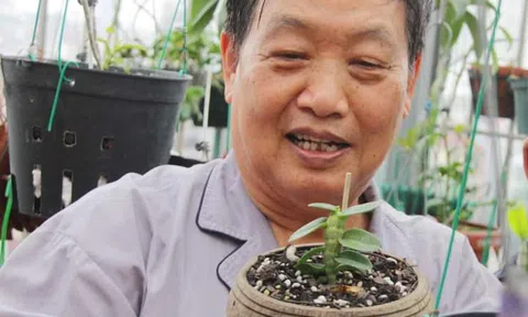 Thăm vườn Lan Đột Biến của GS.TSKH Trần Duy Quý