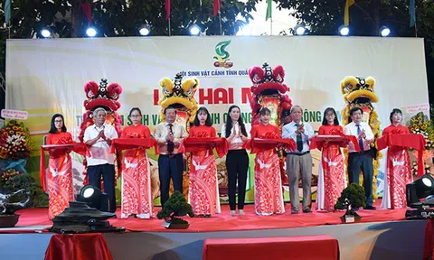 Triển lãm Sinh Vật Cảnh tỉnh Quảng Ngãi mở rộng năm 2019 chào mừng 30 năm tái lập tỉnh Quảng Ngãi