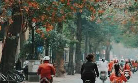 Hà Nội đã vào đông và những xúc cảm riêng biệt