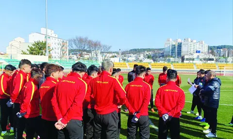 Thủ tướng: Không để tình trạng treo thưởng bóng đá... 'trên giấy'