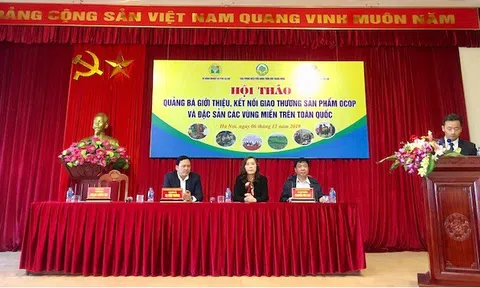Những hiệu quả thiết thực từ Chương trình Hội thảo, quảng bá, kết nối giao thương sản phẩm OCOP và đặc sản các vùng miền trên phố Trịnh Công Sơn, Hà Nội