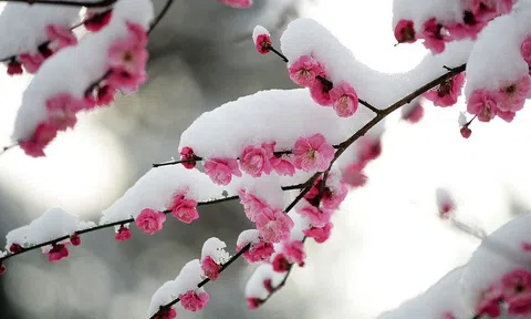 Đừng cúi đầu bởi sóng gió vì đường đời về sau càng chông gai, kết quả càng tốt đẹp