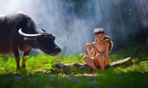 Con người sở dĩ không hạnh phúc là bởi vì toan tính quá nhiều