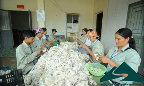 HTX NÔNG NGHIỆP THẢO NGUYỄN MÔ HÌNH ĐÁNG QUAN TÂM TRONG PHÁT TRIỂN KINH TẾ XÃ HỘI Ở VÙNG CAO KHÓ KHĂN.