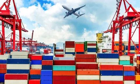NỀN KINH TẾ VIỆT NAM VỚI ĐẠI DỊCH COVID 19 TỪ GÓC NHÌN NGÂN HÀNG THẾ GIỚI VÀ CÁC NHÀ NGHIÊN CỨU.