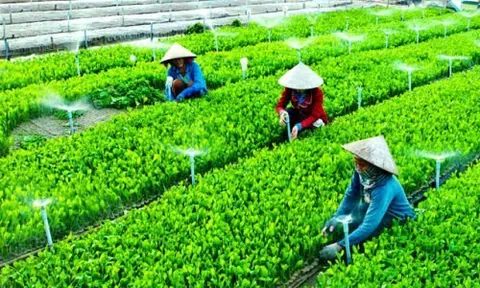 Kinh tế hợp tác, bản chất của Hợp tác xã nông nghiệp và lợi ích mang lại