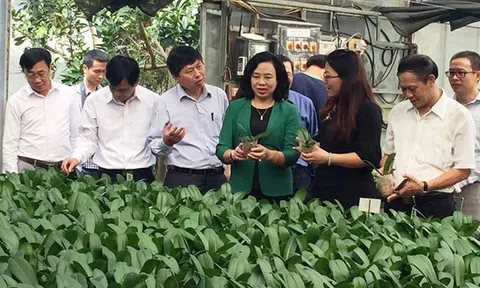 Về mô hình mở đường cho kinh tế hợp tác phù hợp với trình độ của kinh tế hộ nông dân